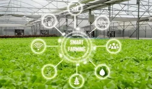 人工智能賦能智慧農業 開啟智能管理新篇章
