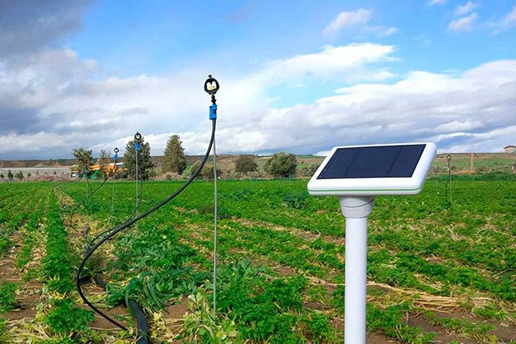 智慧灌溉 驅動智能農業管理的高效引擎